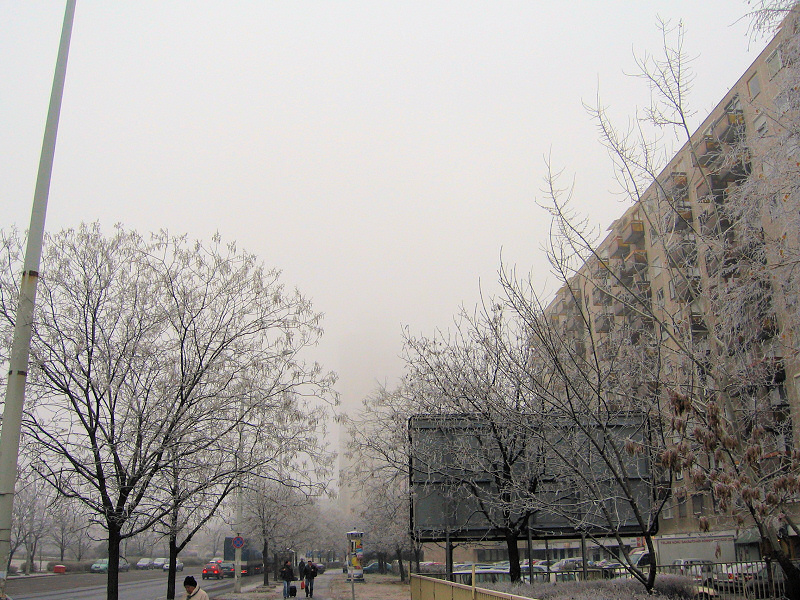 A larger street in Szolnok..