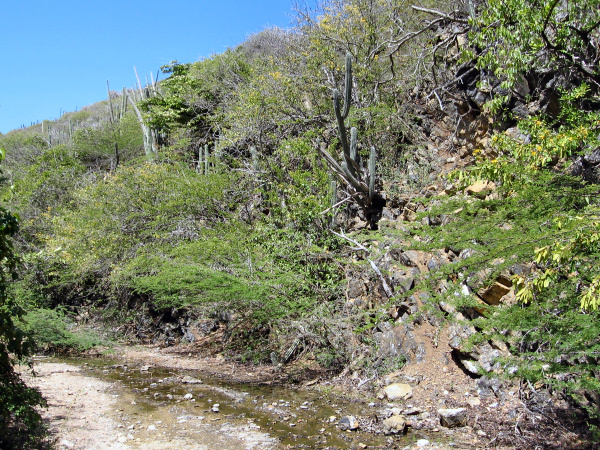 The road we were walking.
