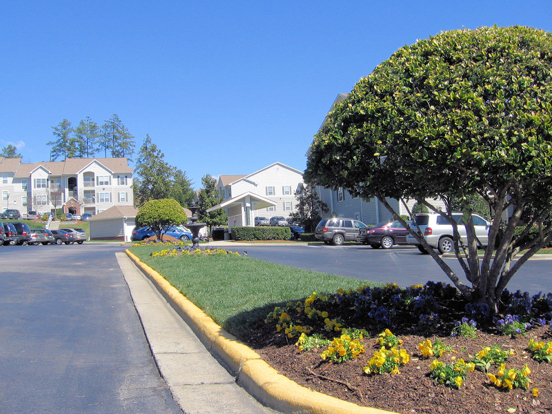 Spring at the Belmont.