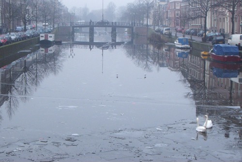 The ice is almost gone.